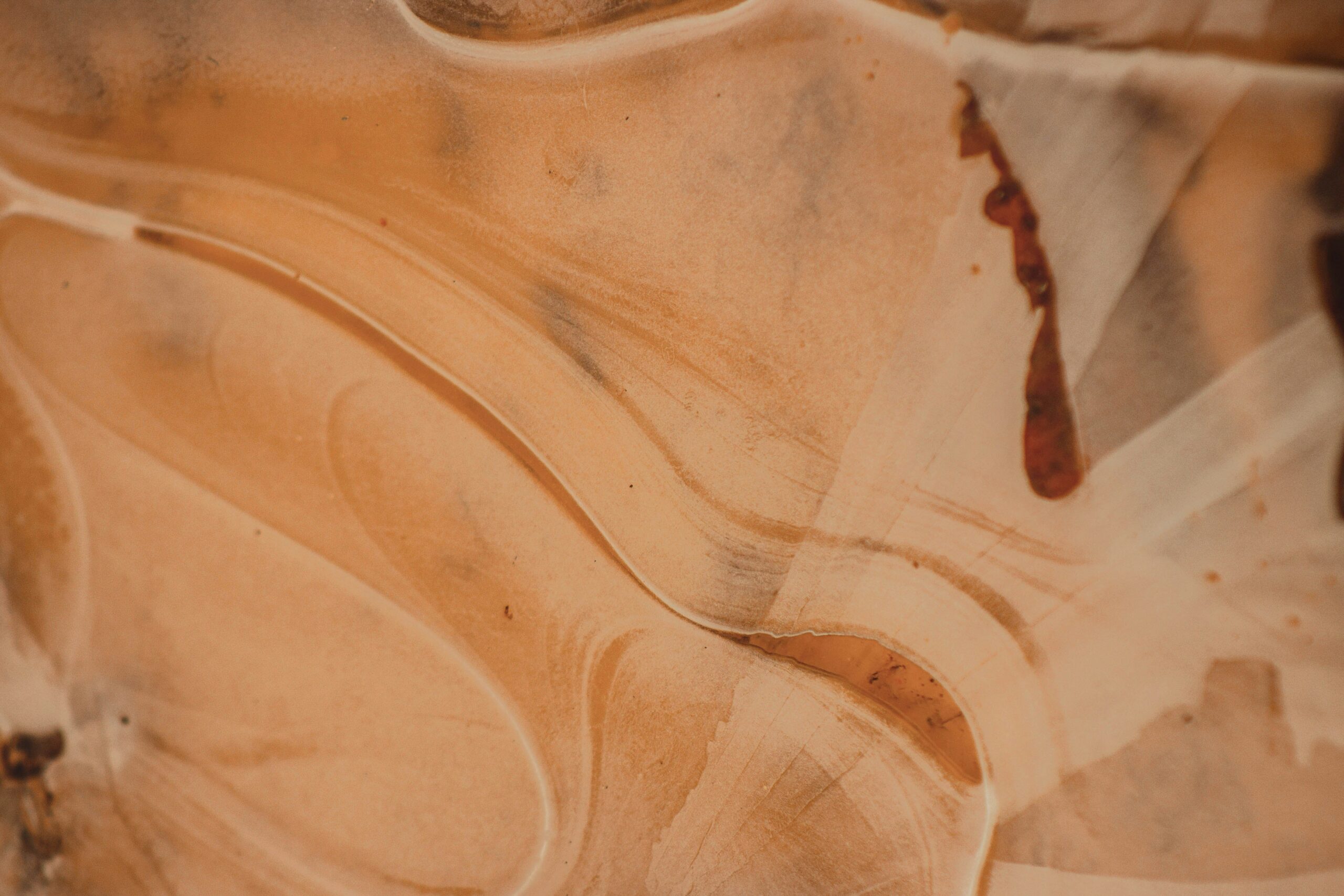 mr-karl-mpQih97Uu5E-unsplash